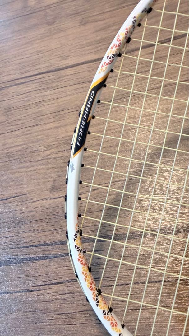 デュオラ6 廃盤