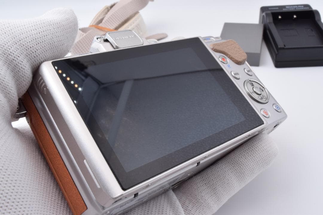 #51a ショット数230 美品 オリンパス PEN E-PL8 ボディ 充電器