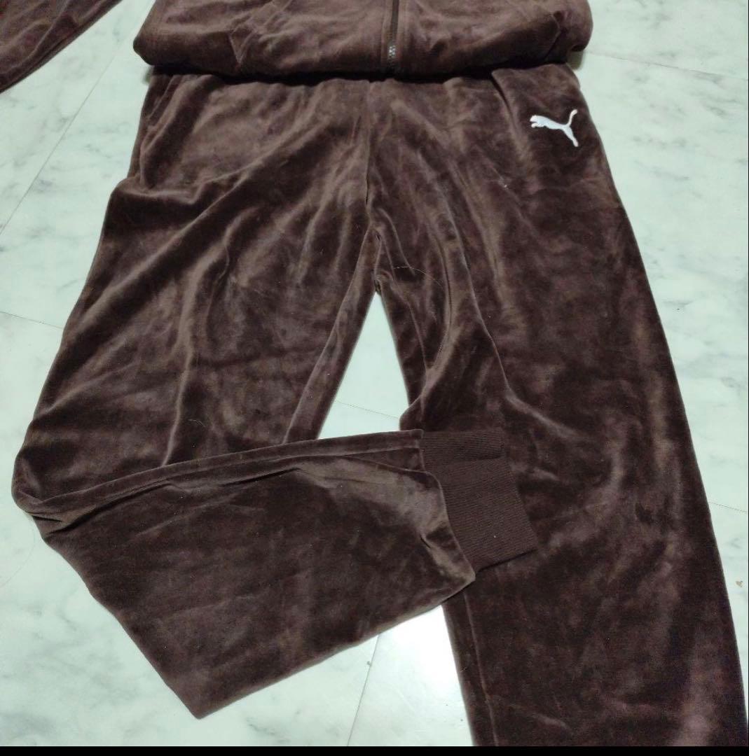 PUMA セットアップ　ベロア　ロゴ刺繍　ブラウン