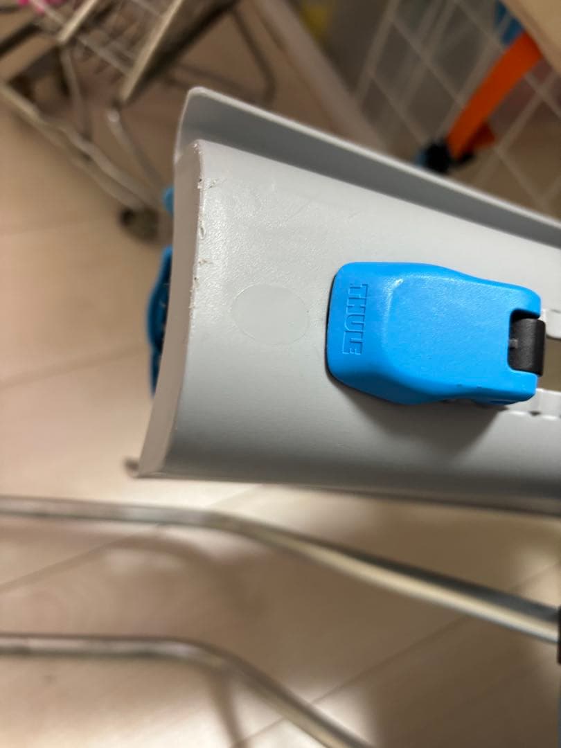 【美品】Thule RideAlong自転車用チャイルドシート　スリー