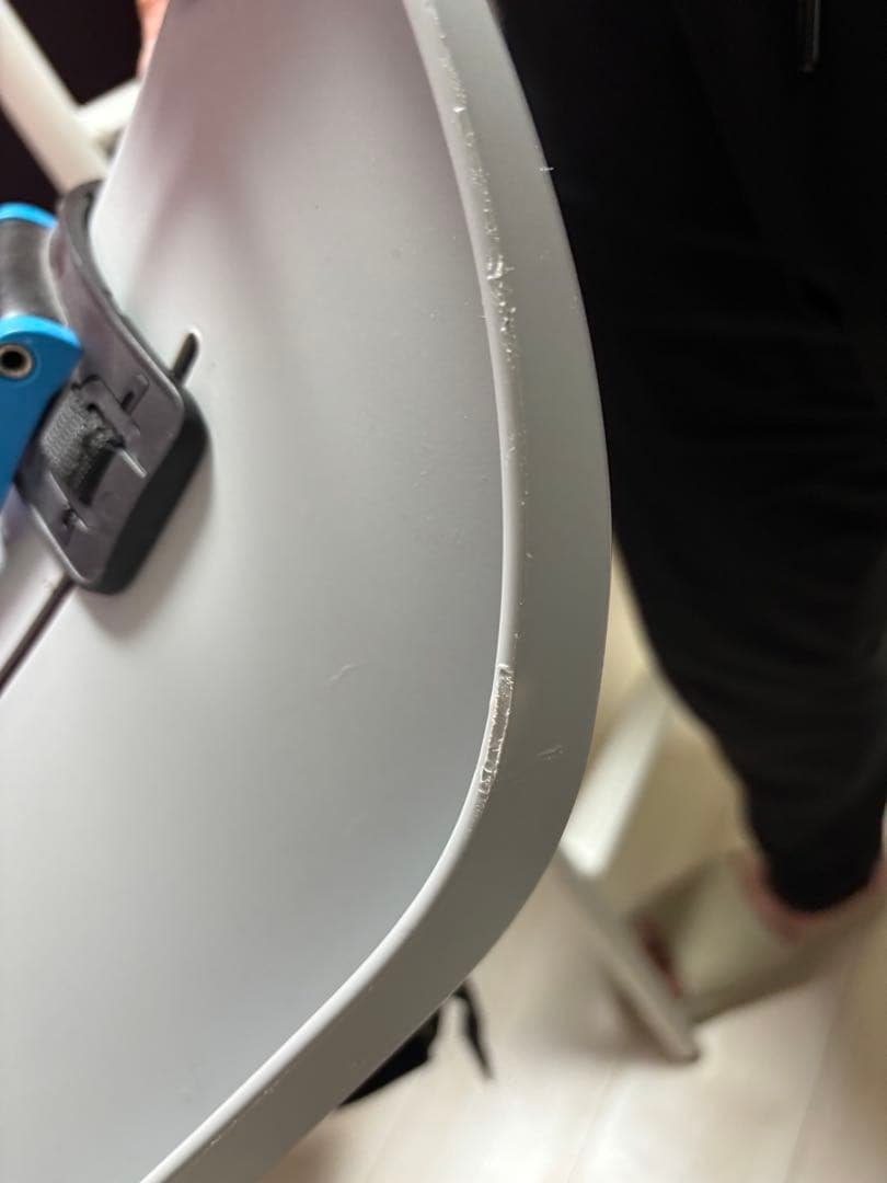 【美品】Thule RideAlong自転車用チャイルドシート　スリー