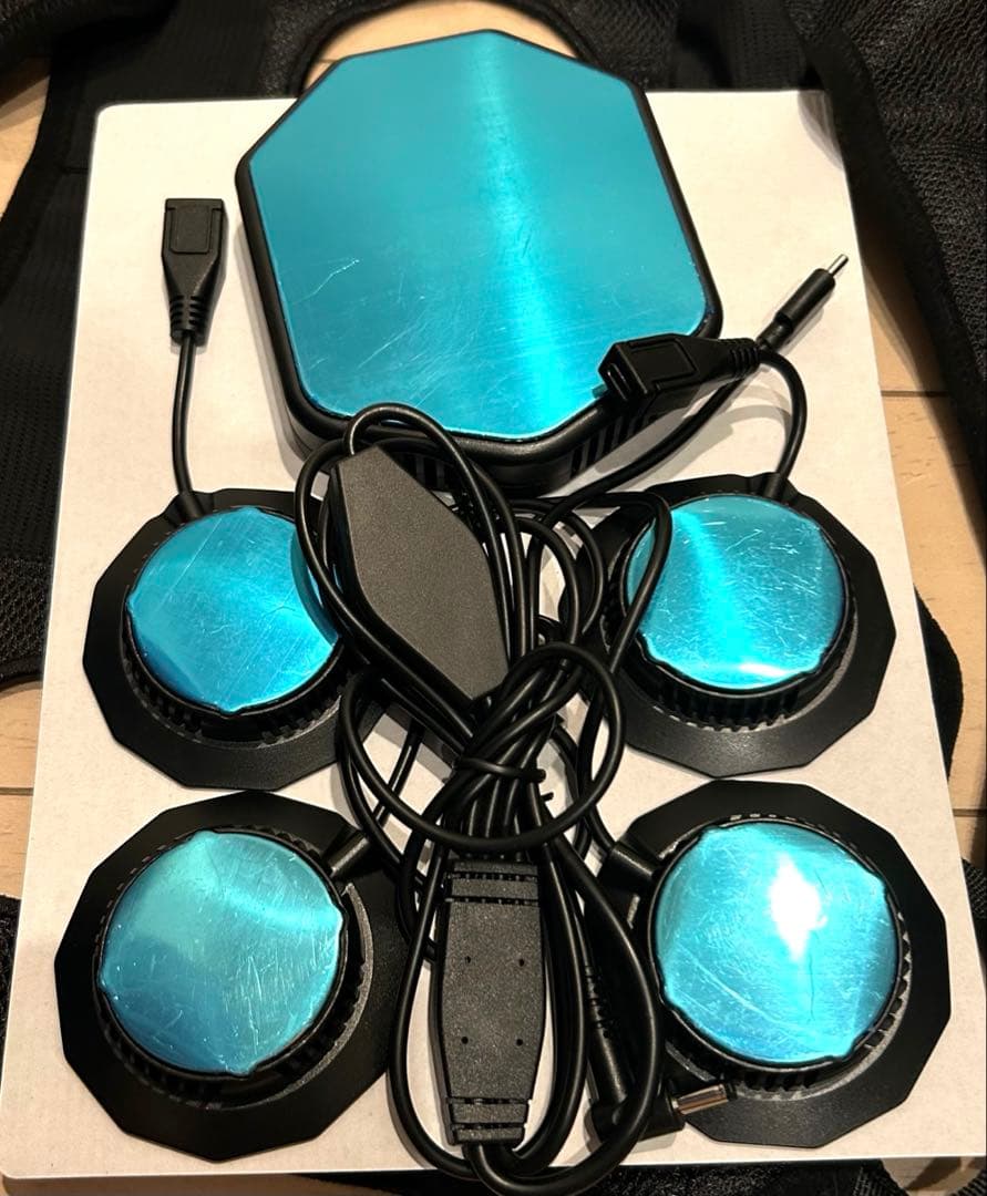 ワークマン ペルチェベスト Pro2 2025年モデル 一度試着のみ