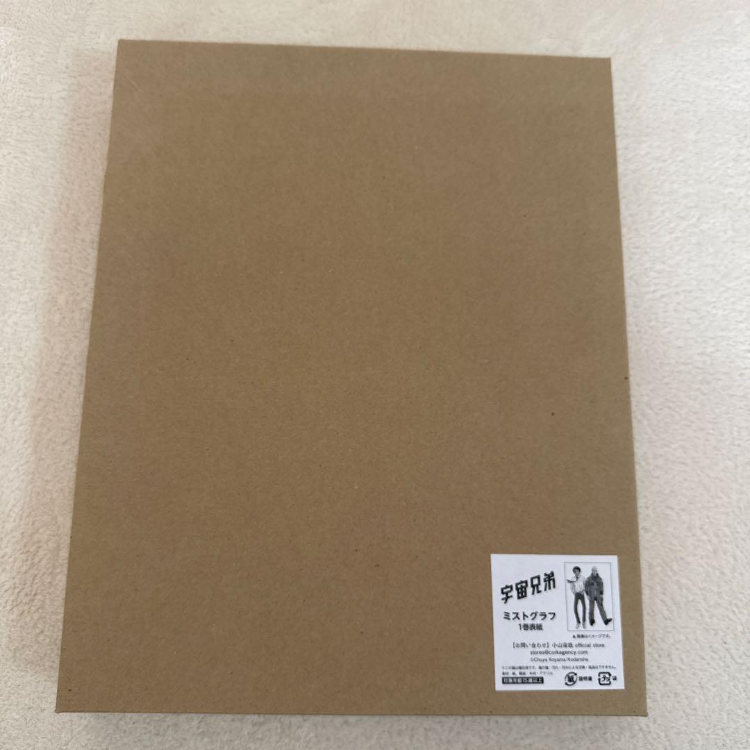 ミストグラフ 額装アート 1枚 L108102200 ブランド 品 通販