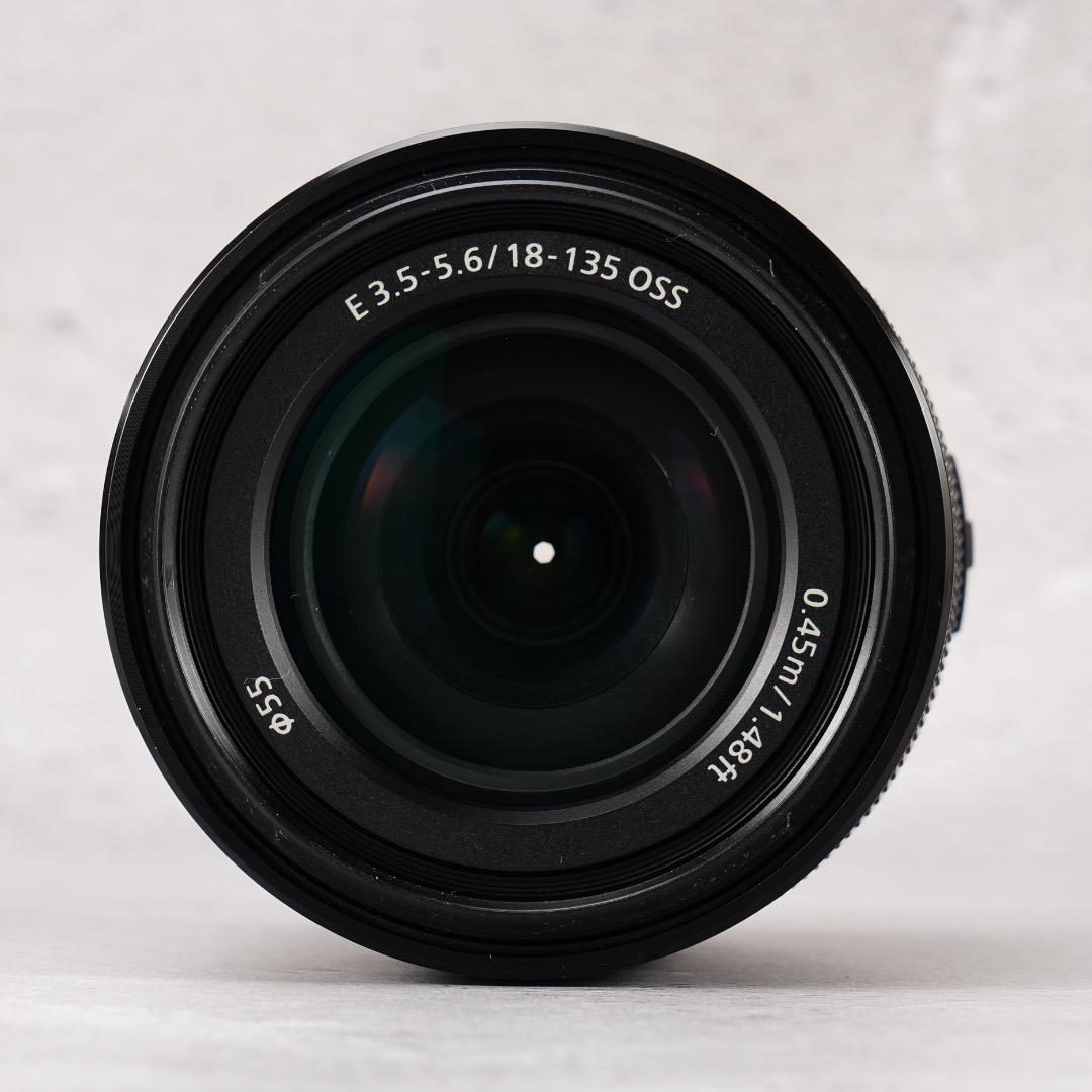 【これ1本で】SONY E18-135mm OSS 便利ズーム 極美品 971