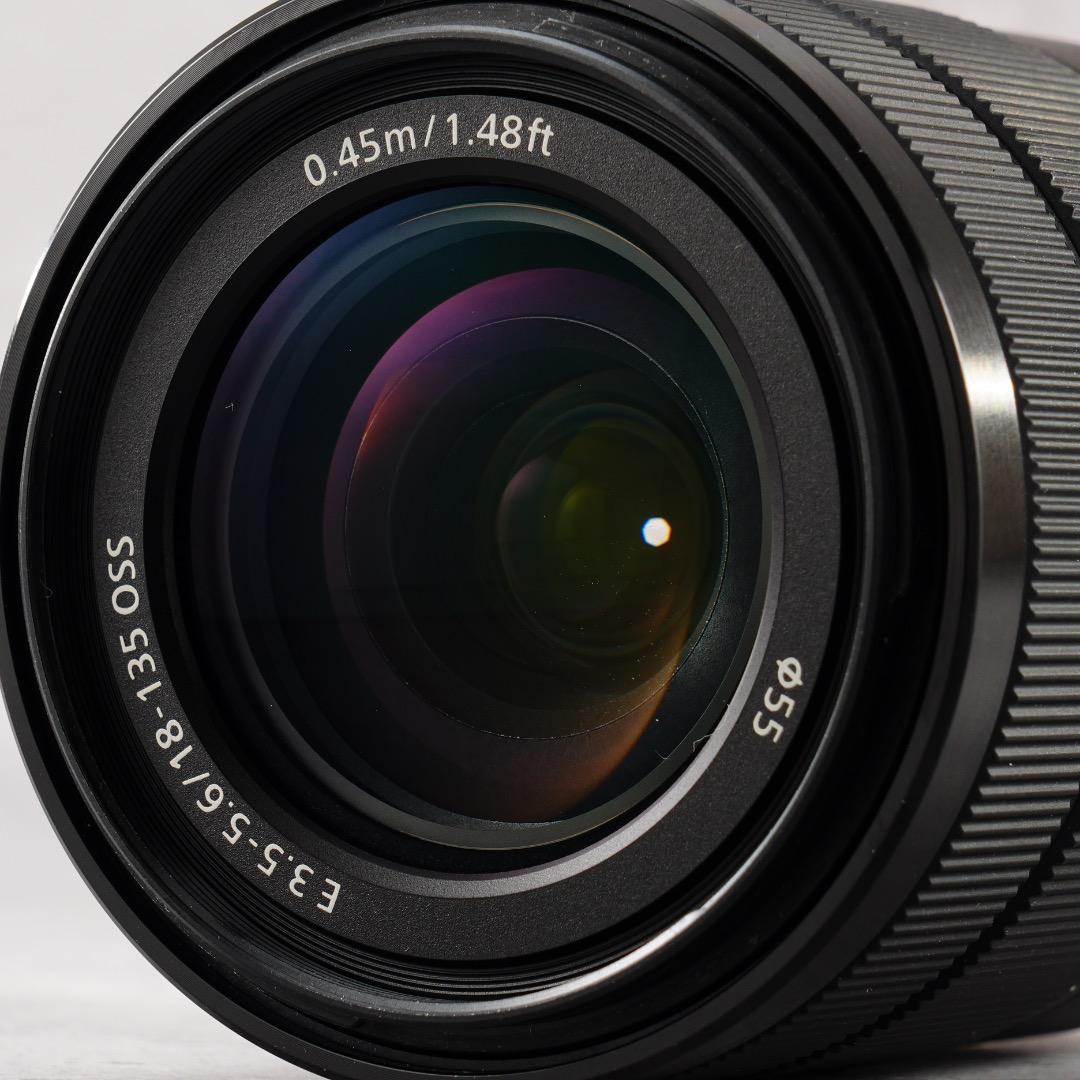 【これ1本で】SONY E18-135mm OSS 便利ズーム 極美品 971