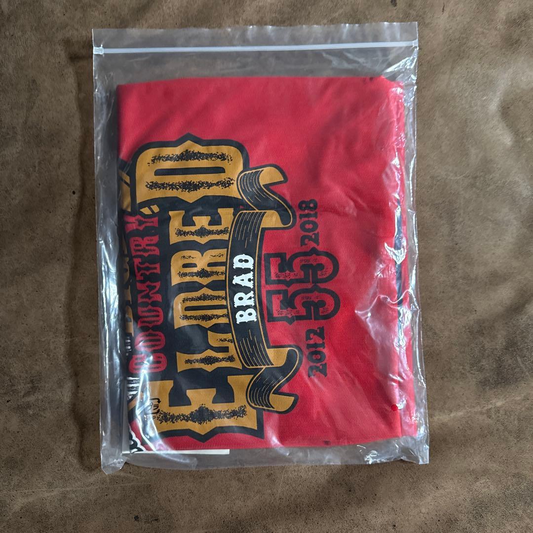 広島カープ エルドレッド選手 引退記念ユニフォーム サイズL 未使用