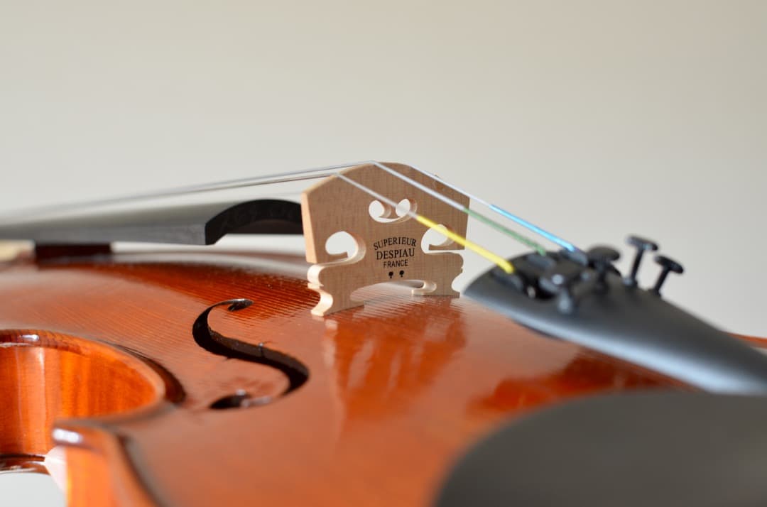 【ほぼ新品】Gliga VASILE gama2 バイオリン 4/4 セット