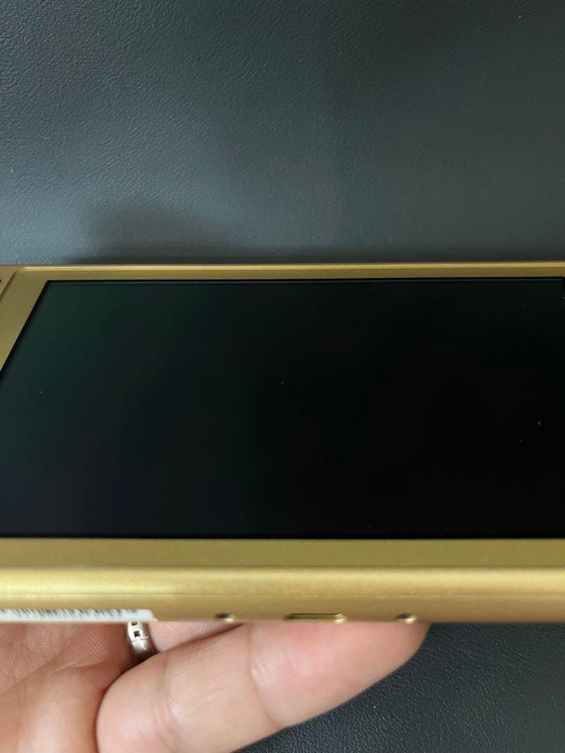 リョウソウクルNintendo Switch Lite