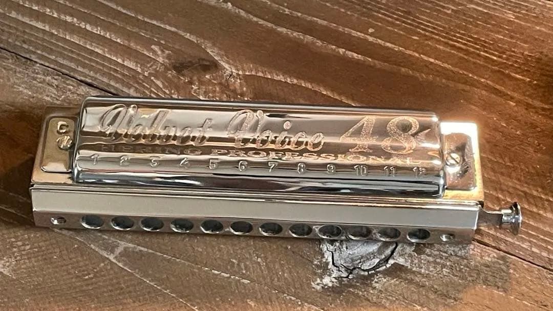 Hering Velvet Voice 48 ハーモニカ　ヘリング　クロマチック