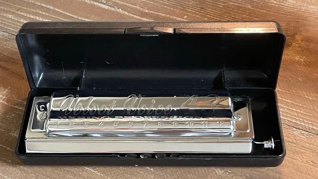 Hering Velvet Voice 48 ハーモニカ　ヘリング　クロマチック