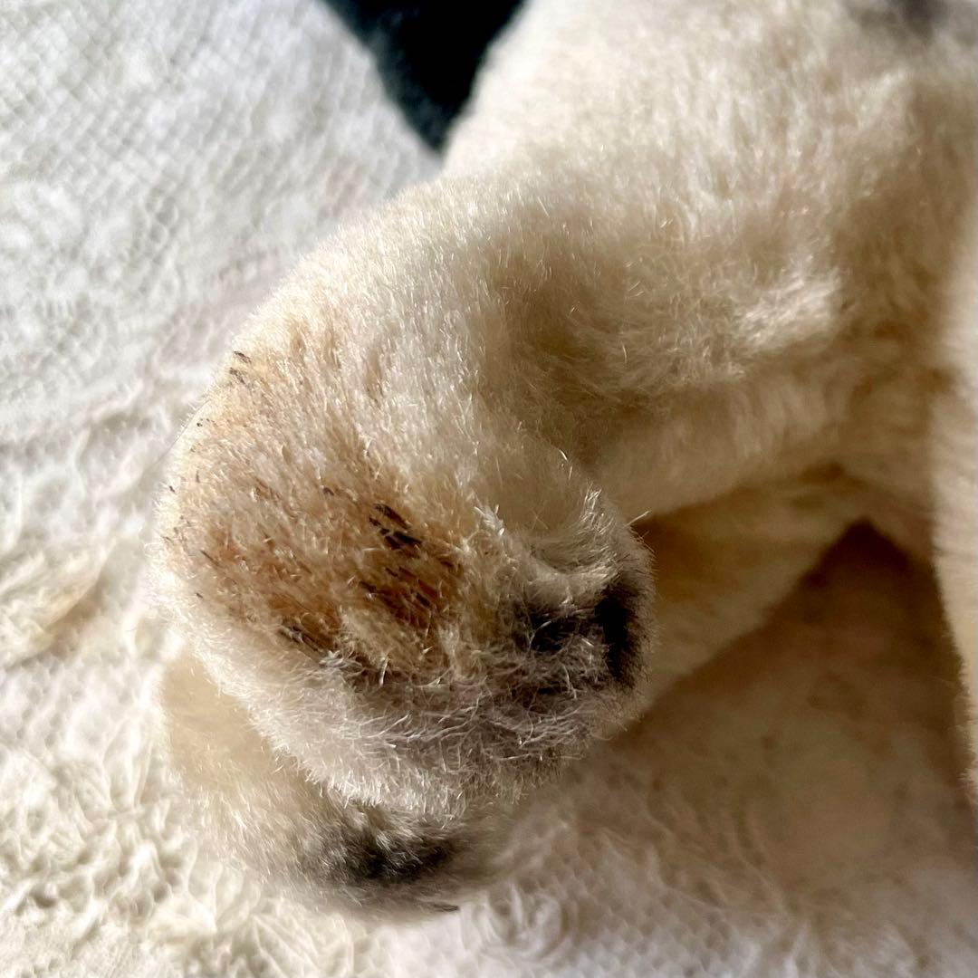 【レア】ハーマンテディオリジナル猫ぬいぐるみ　ドイツヴィンテージ　HERMANN