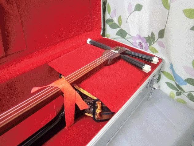 (送料無料)12.000円　沖縄三線専用　二丁入アルミハードケース