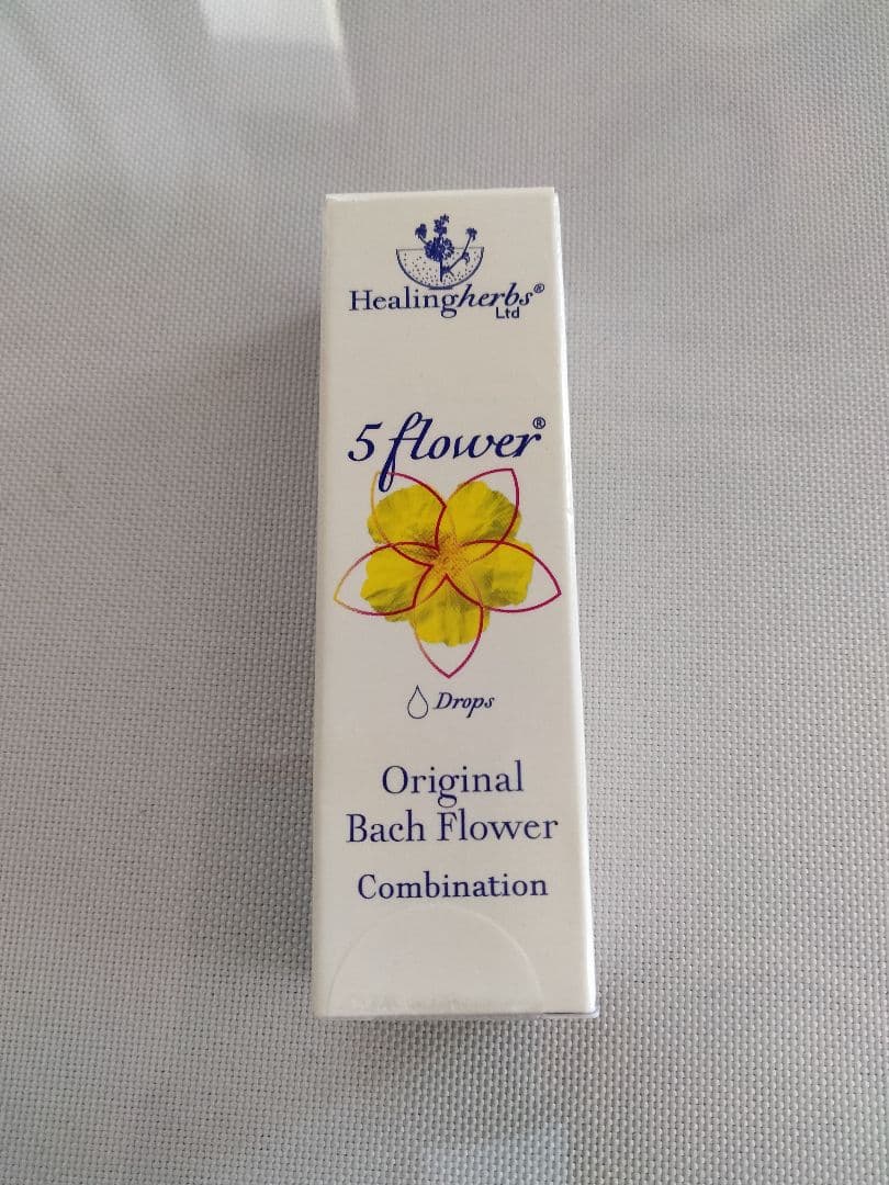 ことり様□ ビーチ ミムラス マスタード スターオブベツレヘム