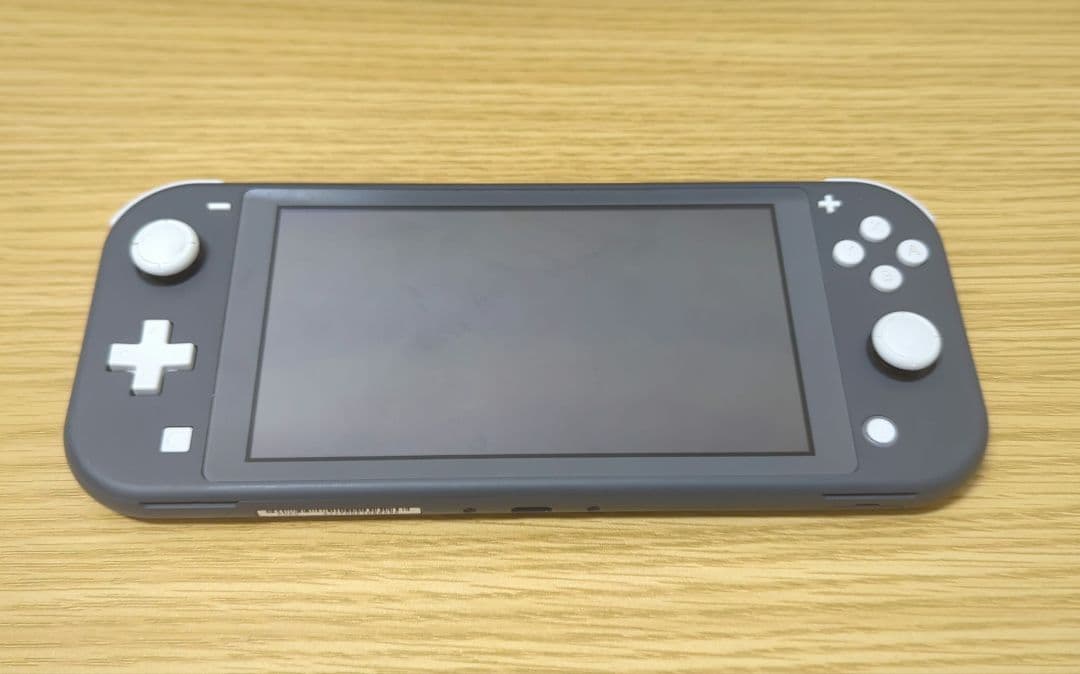 Nintendo Switch Lite グレー 本体 + ケース + 充電器