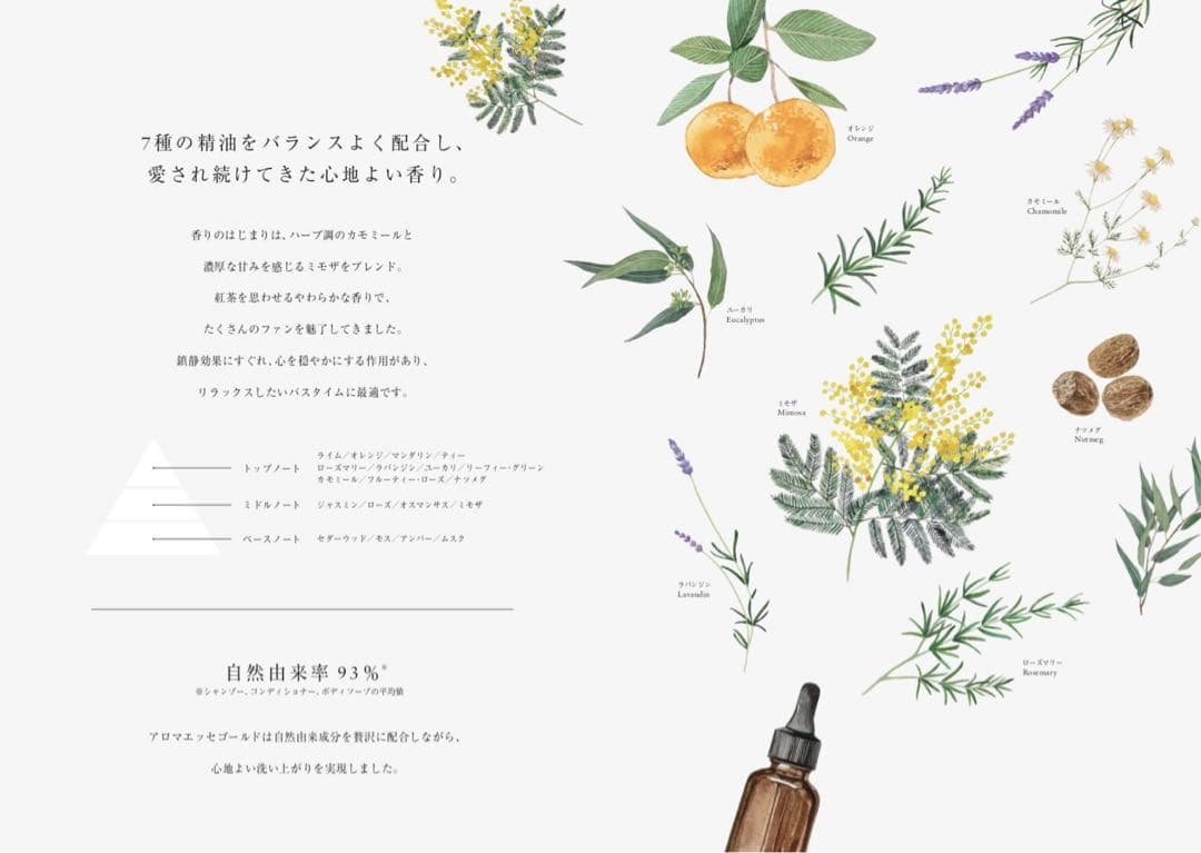 アロマエッセゴールド POLA ポーラ シャンプー&コンディショナー10Lセット