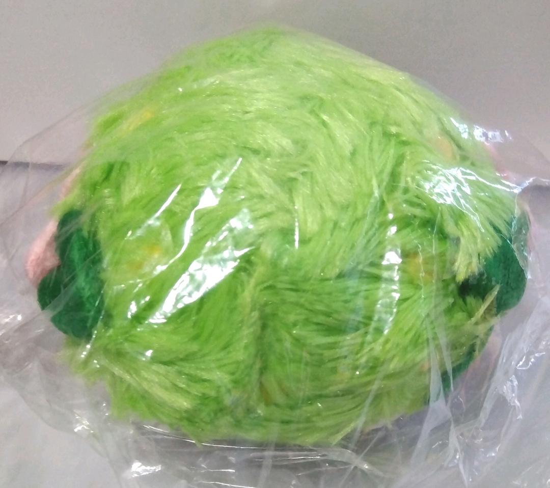 ポケモン　ぬいぐるみ　シェイミ　ランドフォルム　202307092118