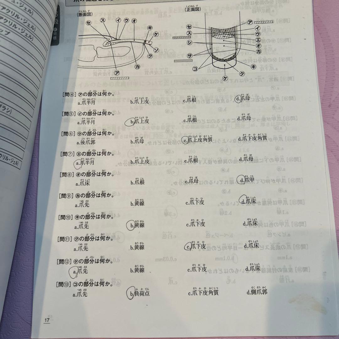 ネイルアート用セット&筆記試験問題5セット1-３級