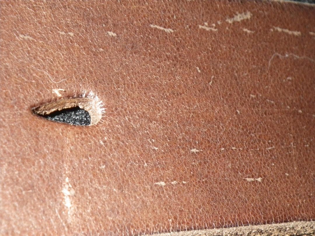 【新品】パラスパレス本革ベルト