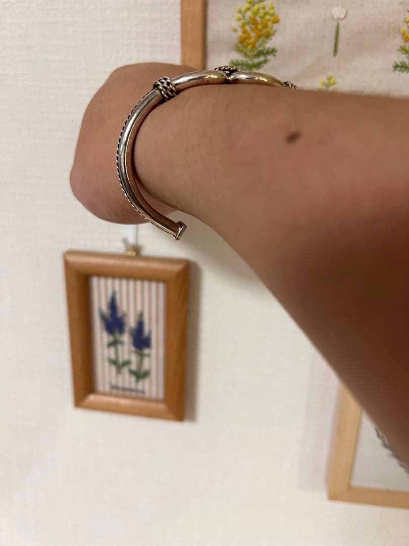 未使用品！4mm幅　スティーブアルビソ　ホースウィスパラー　バングル