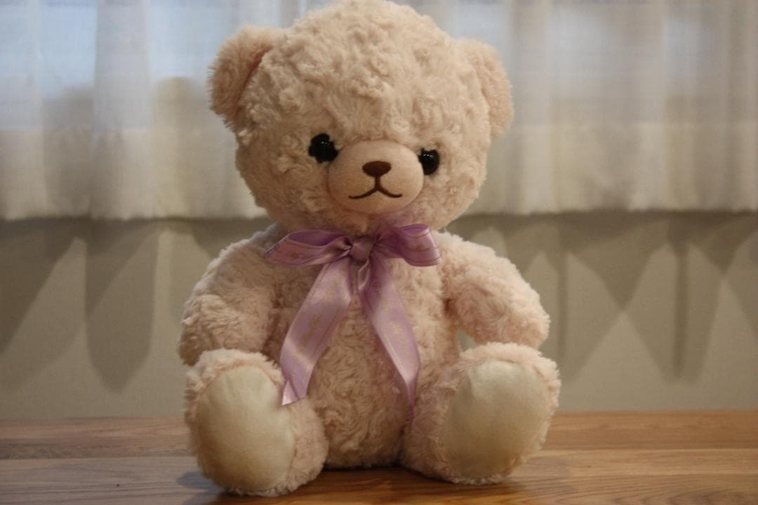 Rai ✨スマホ転送可能 初心者向け✨Canon Kiss X2 レンズ