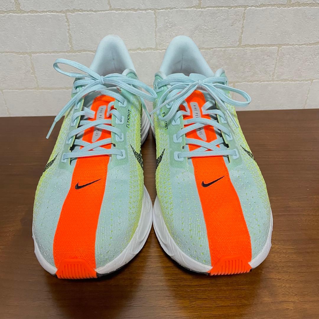 【美品】ナイキ ペガサスプラス 29cm 定価22,000円
