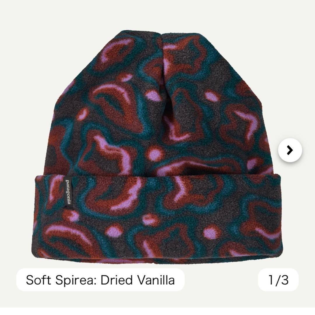 今季完売パタゴニア　新品未試着　マイクロdビーニー　フリース　L/XLサイズ