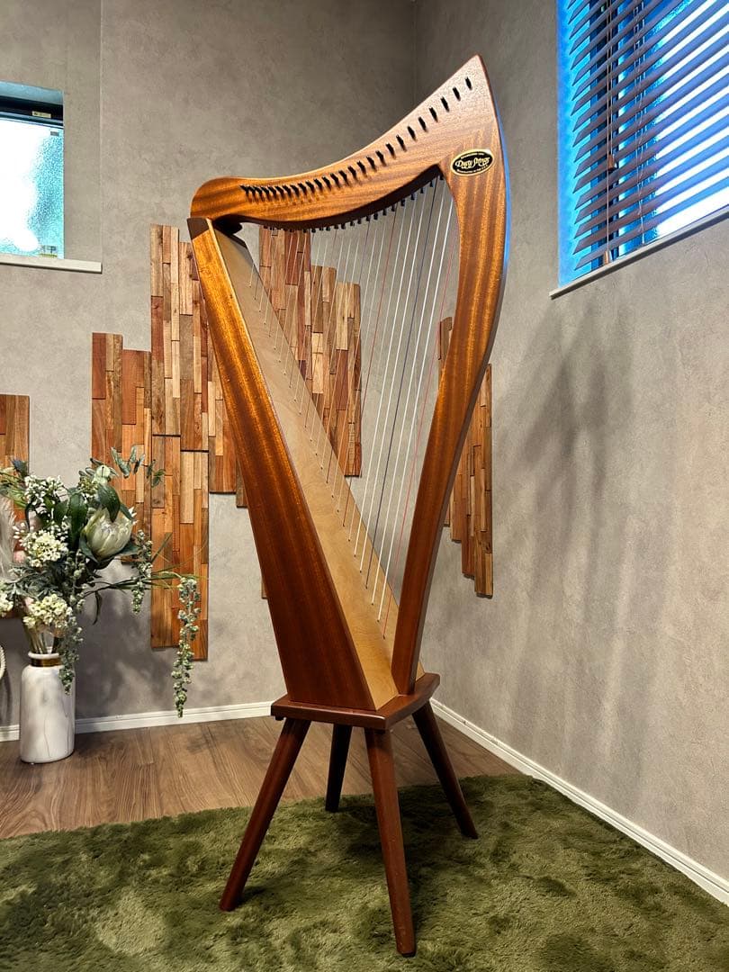 ケース付き】Dusty Strings アイリッシュハープ アレグロアイリッシュ
