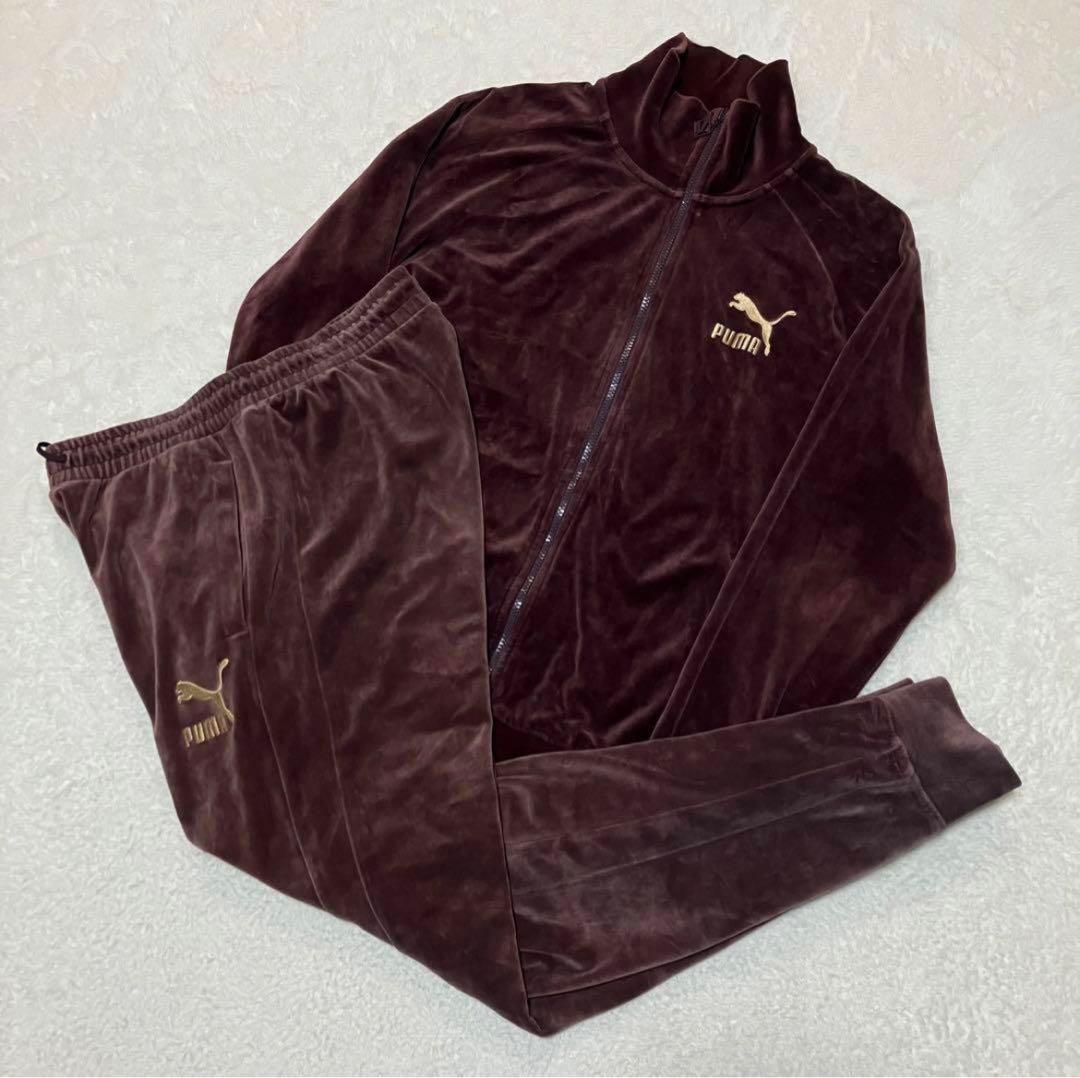PUMAプーマ ベロア ジャージ セットアップ上下 ブラウン 金刺繍 人気カラー