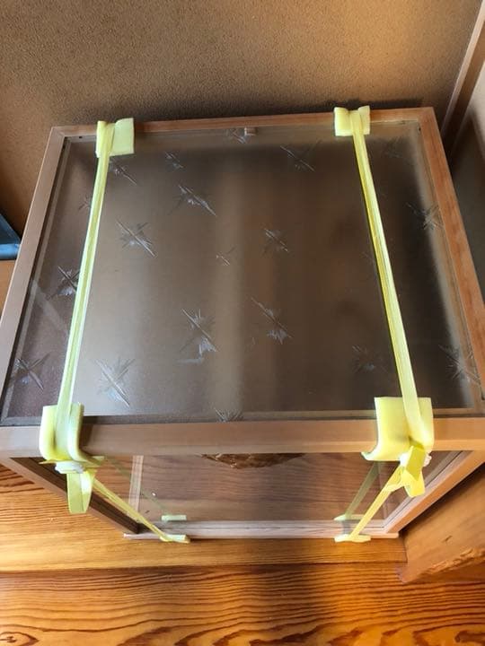 天然スズメバチの巣