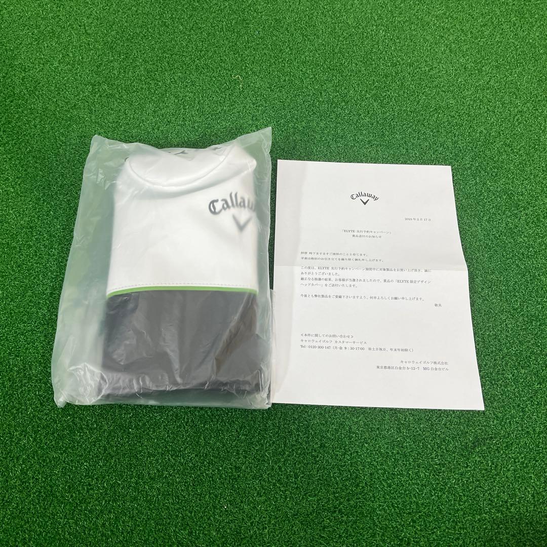 ELYTE トリプルダイヤ 10.5 テンセイ60FLEX-S 特典付き