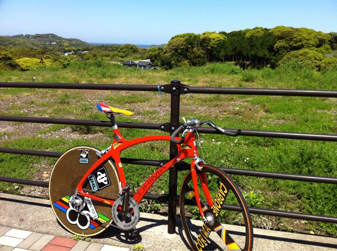 最終出品　造形美CORIMA PUMA コリマプーマ