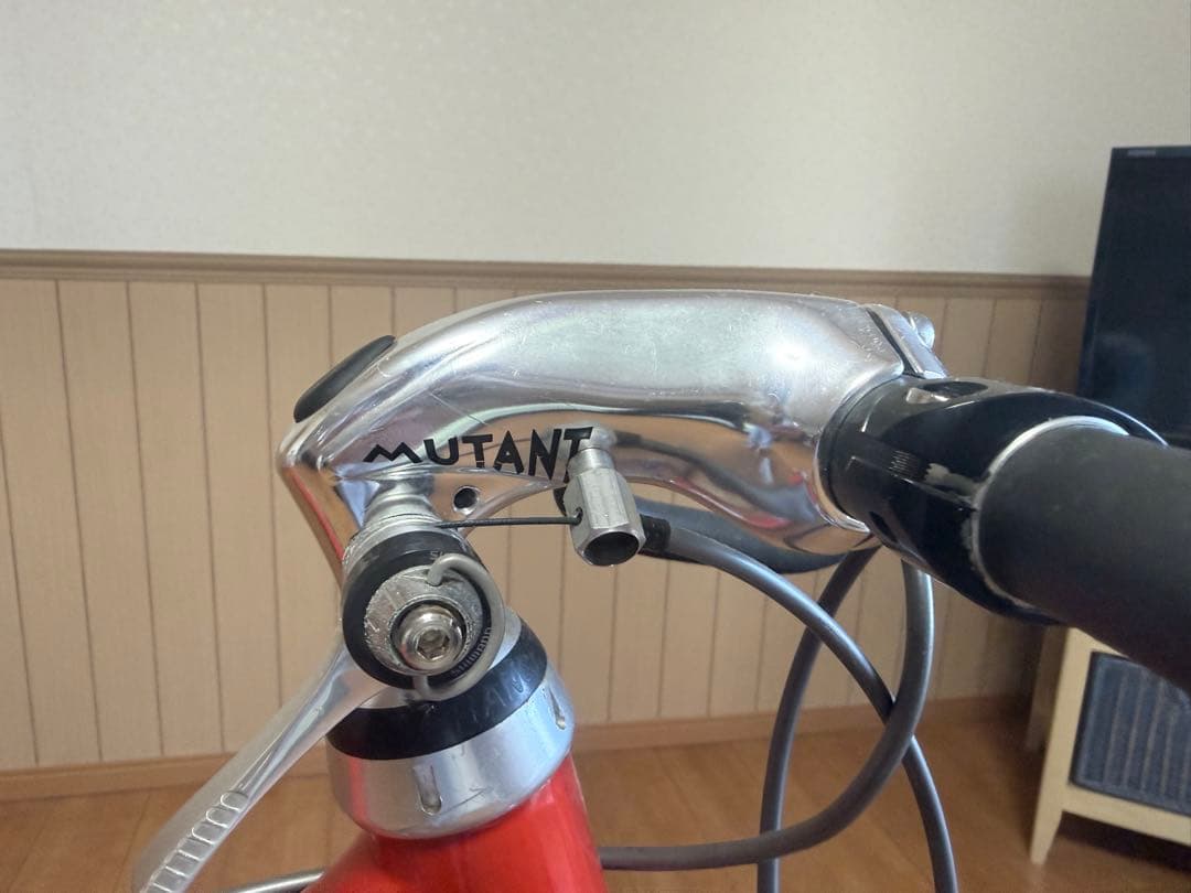 最終出品　造形美CORIMA PUMA コリマプーマ