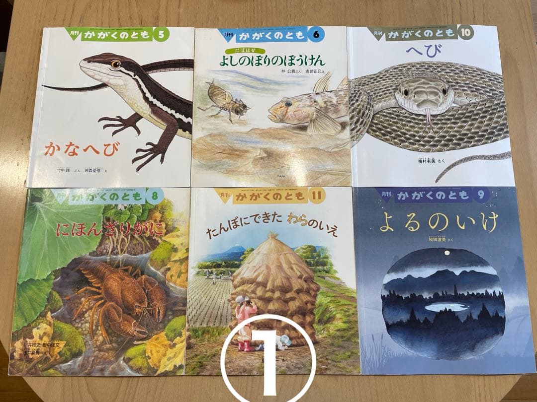 Ibyさま専用　冬休みに♪ かがくのとも　いきもの絵本セット