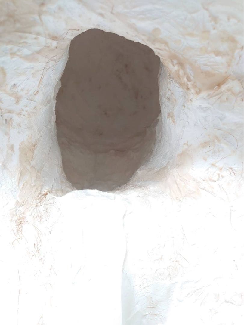 パジャント ベレニケ 石膏像 胸像 デッサン 彫刻