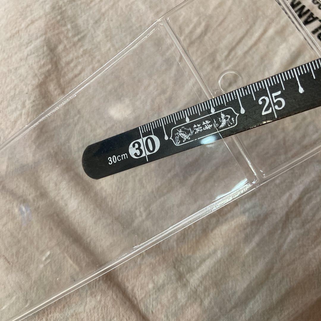 チケットホルダー　クリア　4点セット　新品未使用　68x180mmぐらいまでの券