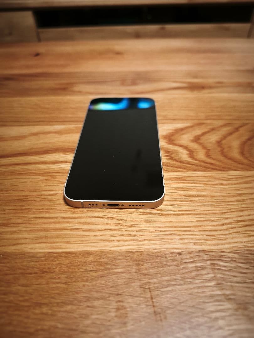 Apple iPhone 13 本体 充電ケーブル付き