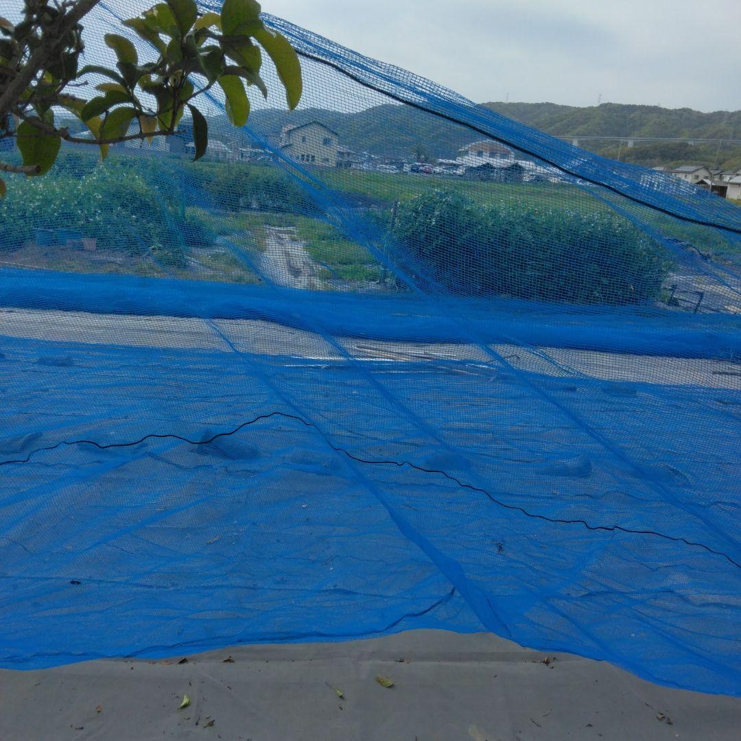 防鳥ネット、防獣ネット、農業ハウス取り外しネット