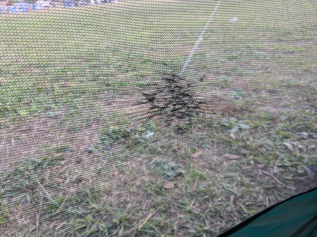 コールマン　BCキャノピードーム270プラス＆スクリーンキャノピータープ320