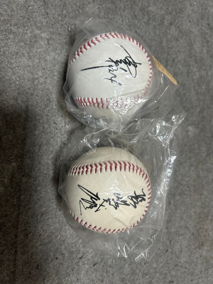 野球ミット ファーストミット ゼネラル ミスタージャイアンツ 王長嶋