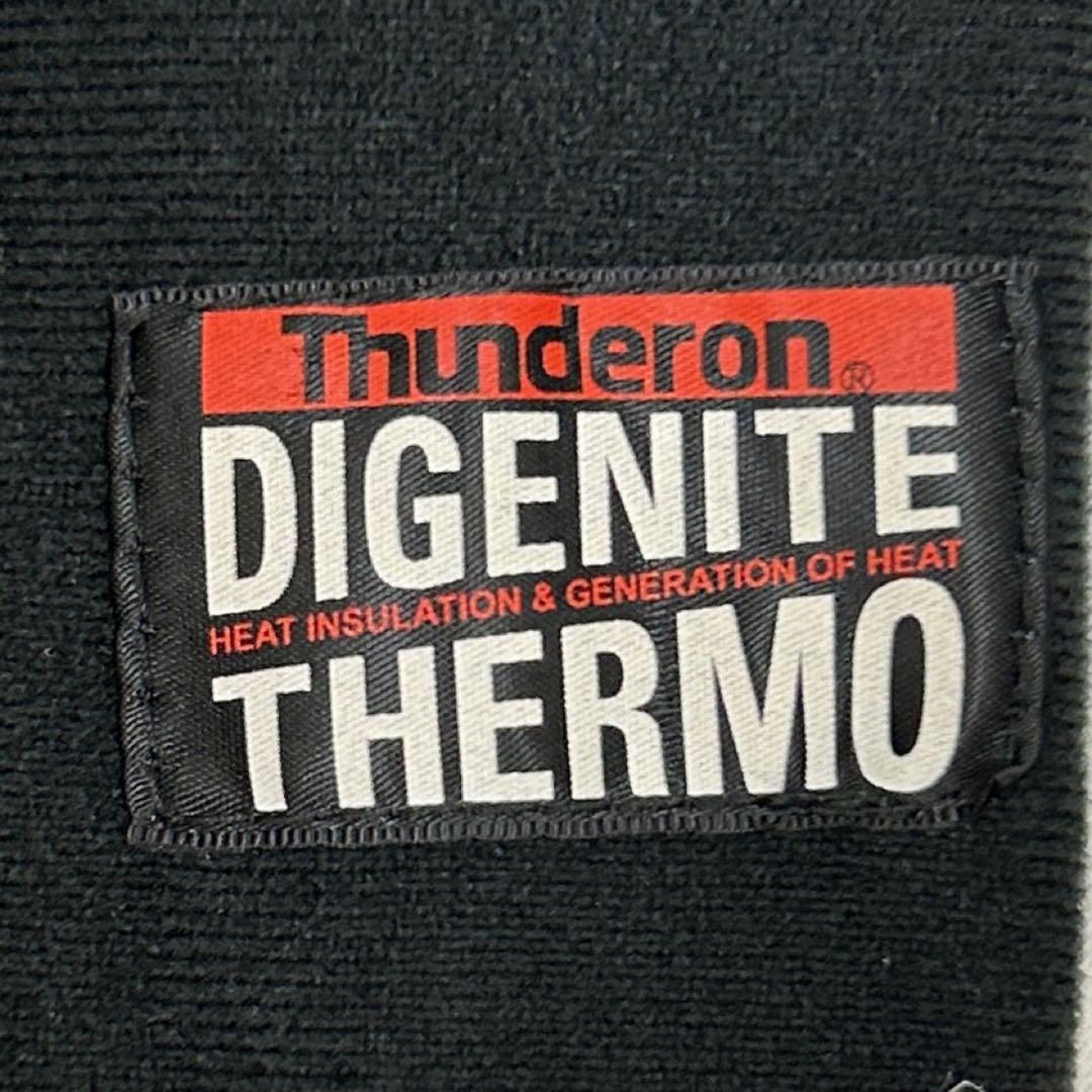 【美品‼︎】Phenix スキーウェアセット Lサイズ