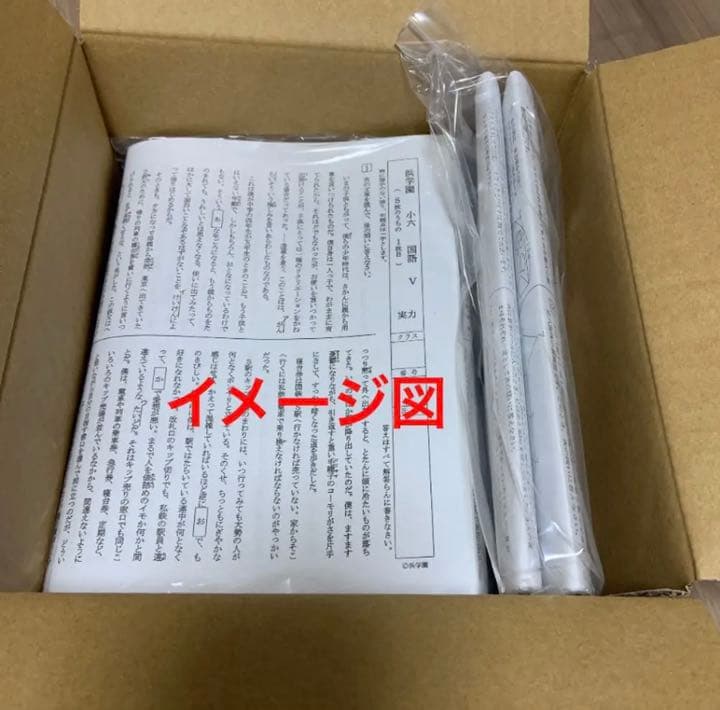 浜学園 小6 国語算数理科 Vクラス 復習テスト 実力〜No.39 解答