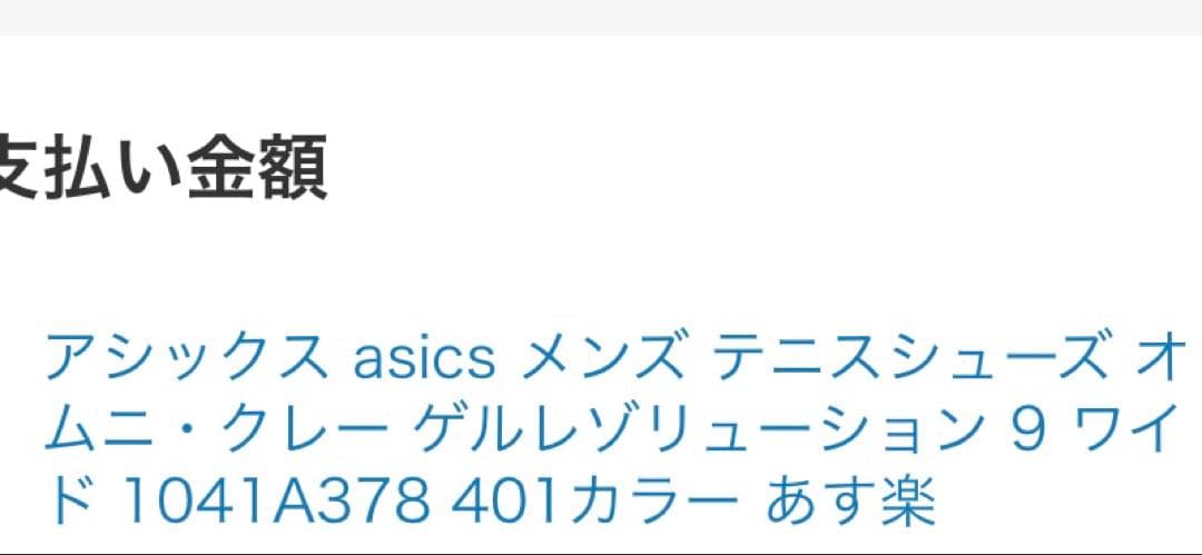 aya ネコさま専用アシックス ゲルレゾリューションワイド 25
