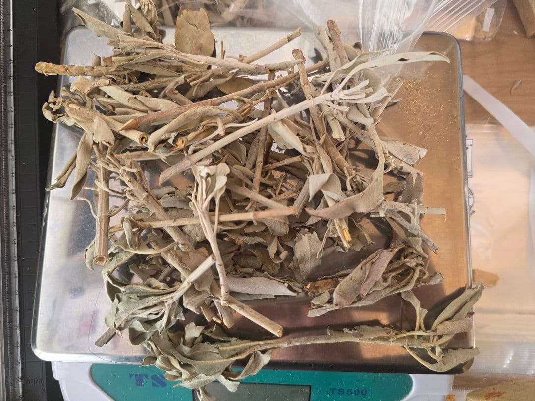 激安価格☆無農薬アウトレットホワイトセージ1KG箱入りお香浄化業務用