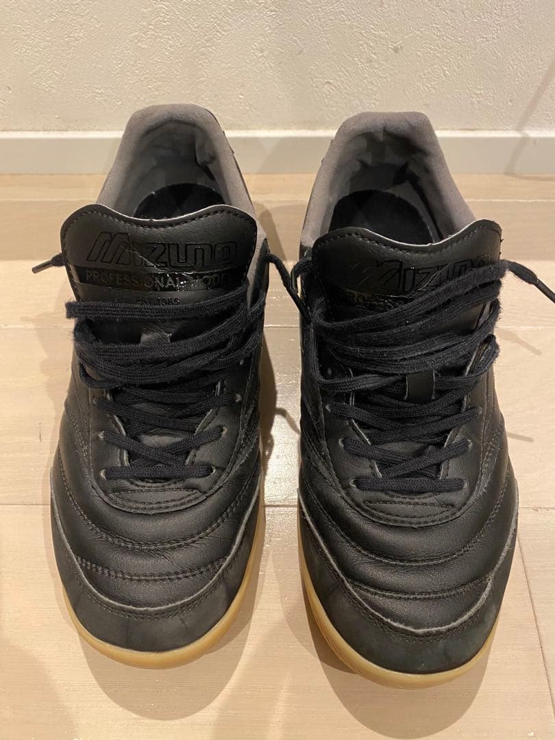 モレリア　フットサルシューズ　24.5