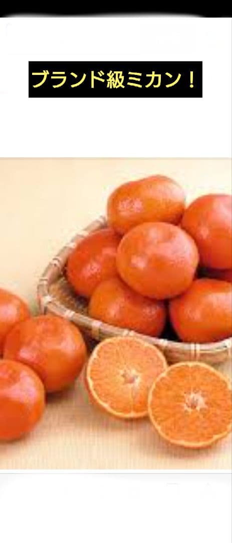 限定販売品！「津の輝」「せとか」３年生セット販売品！