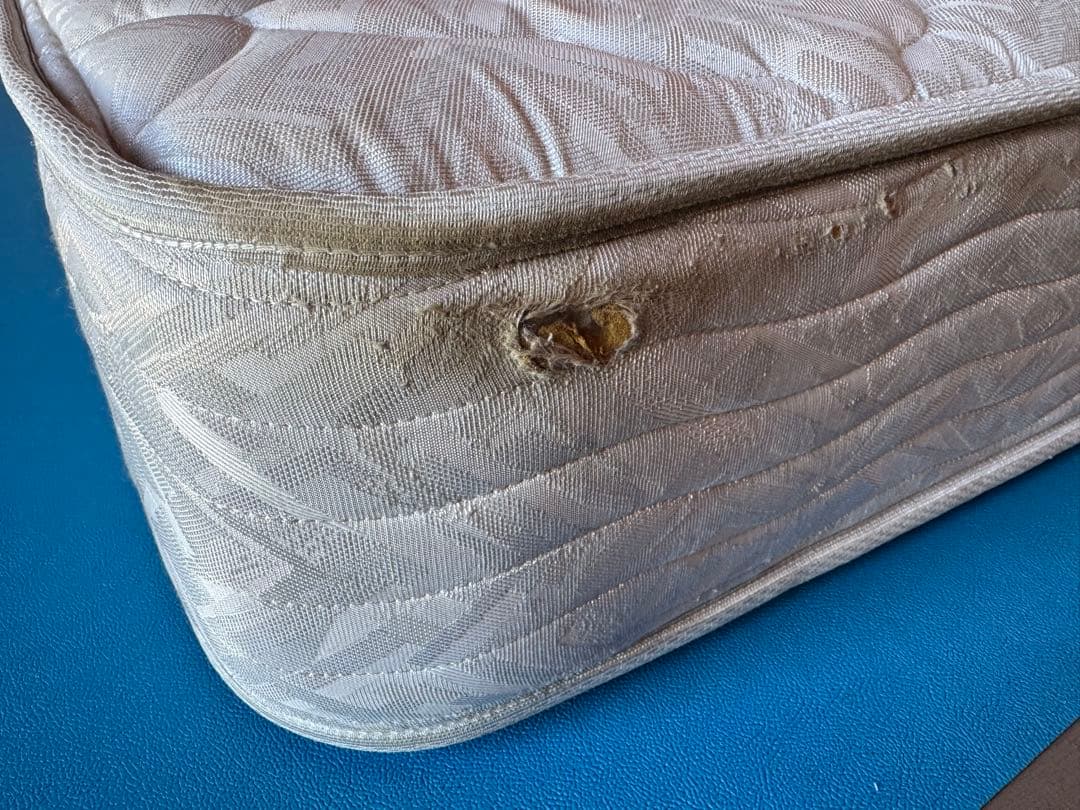 地域限定配送 シモンズ ビューティレスト Extra Hard ダブル