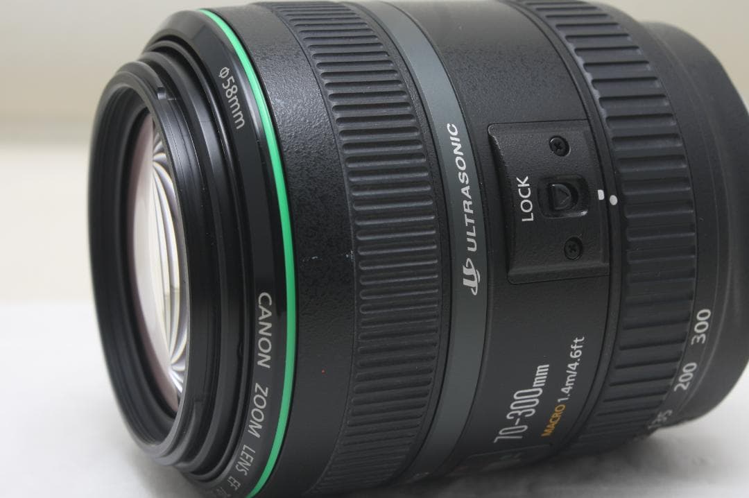 キヤノン EF 70-300mm F4.5-5.6 DO IS USM