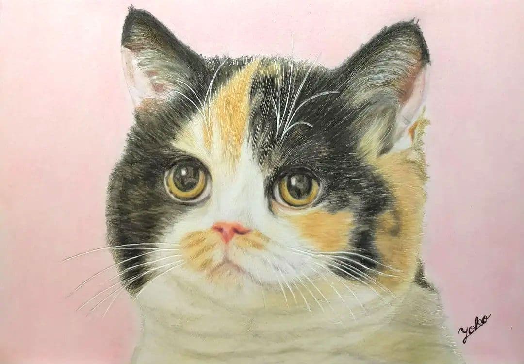 色鉛筆画 パステル画 猫 猫の絵 原画 イラスト 三毛猫 ペット 似顔絵