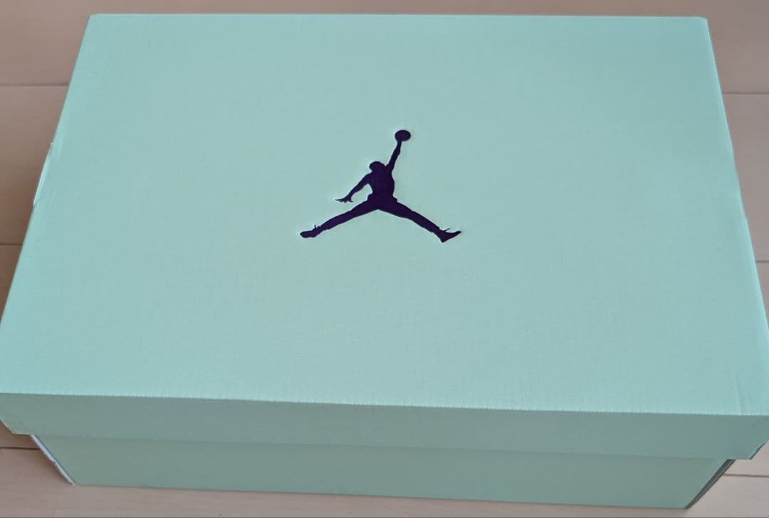 JORDAN HEIR PF　バッシュ　27.5cm　新品未使用　タグ付、箱有