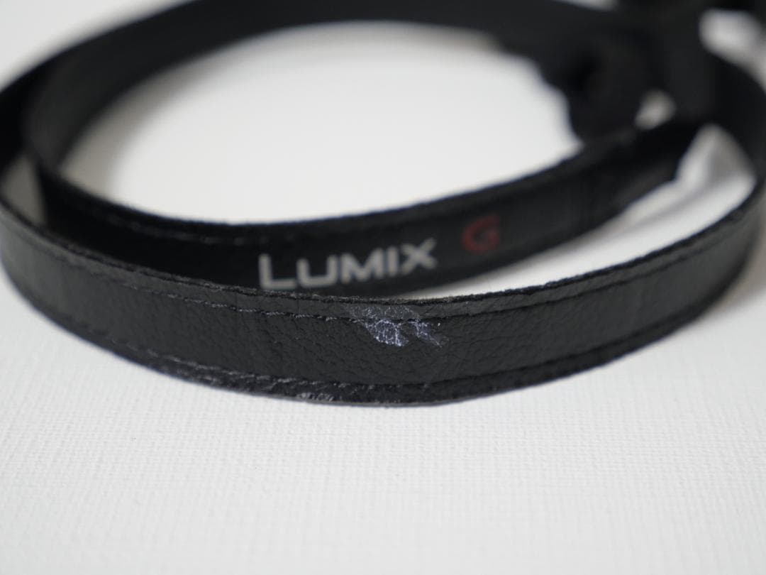 Panasonic DC-GF10 ミラーレスカメラ オレンジ